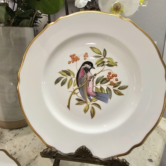 Spode Audubon Bird Dinner Plates Copeland Hand Painted Bone China England Set 4